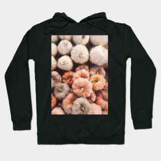 Pale Pumpkins Painting Hoodie